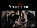 Coup De Coeur : Forever Slave