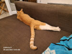 [3615 My Life] Squatter!!!!!