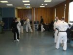 [CR] Stage de Gôjû-ryû et Hakutsuru-ken - 4/5/6 avril 2008