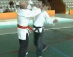 Jujitsu butokukai