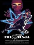 Implacable Ninja - Enter the Ninja