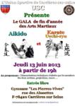 [Annonce] Gala des arts martiaux de Carrières sur Seine - 13 juin 2013