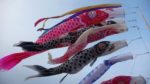 Kodomo no Hi 2013