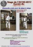 [Annonce] Stage exceptionnel de Uechi-ryu dirigé par le Soke Uechi-Ryu - 4 juin 2017