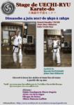 [Annonce] Stage exceptionnel de Uechi-ryu dirigé par le Soke Uechi-Ryu - 4 juin 2017