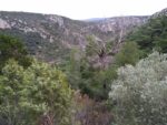 Balade des Saints de l'Hérault - 31 décembre 2017