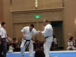 Mes combats lors de la compétition de Uechi-ryu à Tokyo - 28 aout 2011