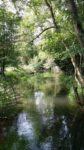 Giverny - vendredi 19 septembre 2014