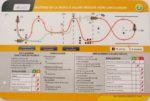 Fiche N°12: Stabilité et trajectoire