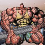 Restructuration et pratique corporelle du Bourrin-ryû