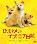 ひまわりと子犬の7日間 - Himawari to Koinu no Nanokakan