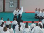 Décès de Tamura sensei