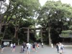 14 septembre 2015 - Meiji Jingu