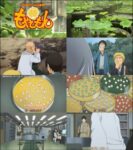 もやしもん - Moyashimon (Anime)