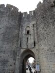 Aigues-Morte - 11 février 2016