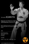 [Annonce] Stage avec Adaniya Seisuke sensei - 1er juin 2013