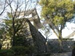 Inuyama - 15 janvier 2010