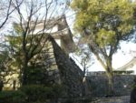 Inuyama - 15 janvier 2010