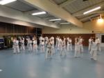 [CR] Cours de Uechi-ryu avec sensei Yasuo Shimoji - 20 octobre 2011