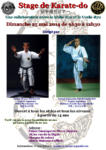 [Annonce] Stage de Karate Shito et Uechi-ryu - 25 mai 2014