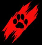 Frange, amitiés et ouighour