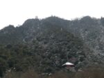 Gifu - 15 janvier 2010