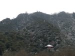 Gifu - 15 janvier 2010