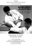 [Annonce] Stage de kokodo-ryu jujutsu - 25 août 2013