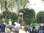 Shibuya - 25 octobre 2008