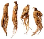 人蔘 - Ginseng