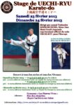 [Annonce] Stage de Uechi-ryu - 23/24 février 2013