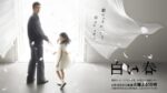 白い春 - Shiroi Haru