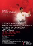 [Annonce] Stage avec Adaniya Seisuke sensei à Montpellier - 28/29 mai 2016