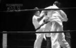 Pro-Karatedo