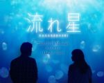 流れ星 - Nagareboshi