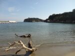 23 septembre 2015 - Plage  à Shiogama