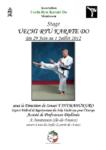 [Annonce] Stage de Karate Uechi-ryu à Montesson - 29 juin au 1er juillet 2012