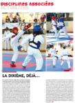 Article dans le Magazine "Karaté" sur la coupe de France de Uechi-ryu 2015