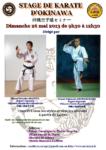 [Annonce] 沖縄空手道セミナー - Stage de Karate d'Okinawa - 26 mai 2013